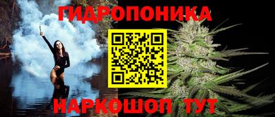 ПСИЛОЦИБИНОВЫЕ ГРИБЫ Камышлов