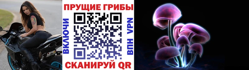 как найти наркотики  Кумертау  Псилоцибиновые грибы мицелий 