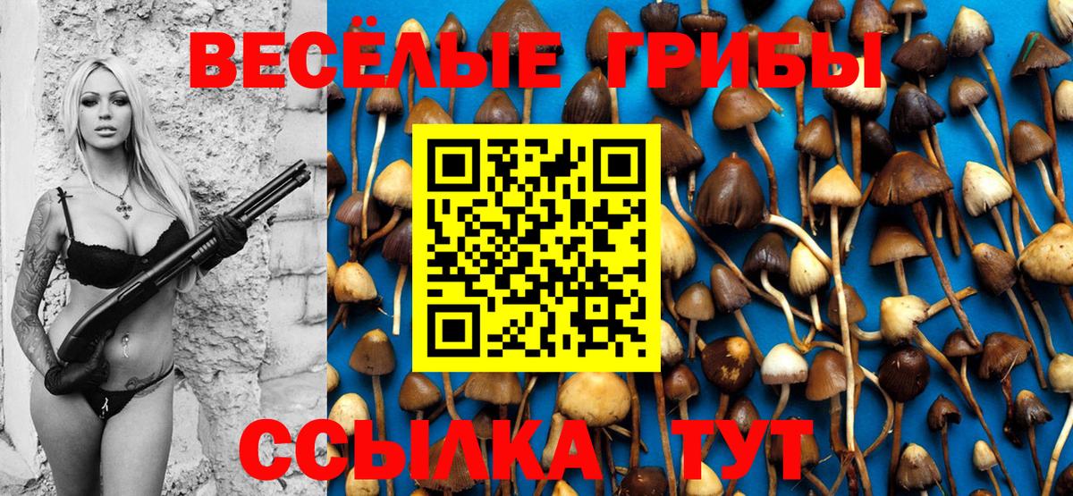 Кумертау  Галлюциногенные грибы Psilocybine cubensis  Вход с VPN  Галлюциногенные грибы ЛСД 